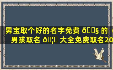 男宝取个好的名字免费 🐧 的（男孩取名 🦅 大全免费取名2020免费）